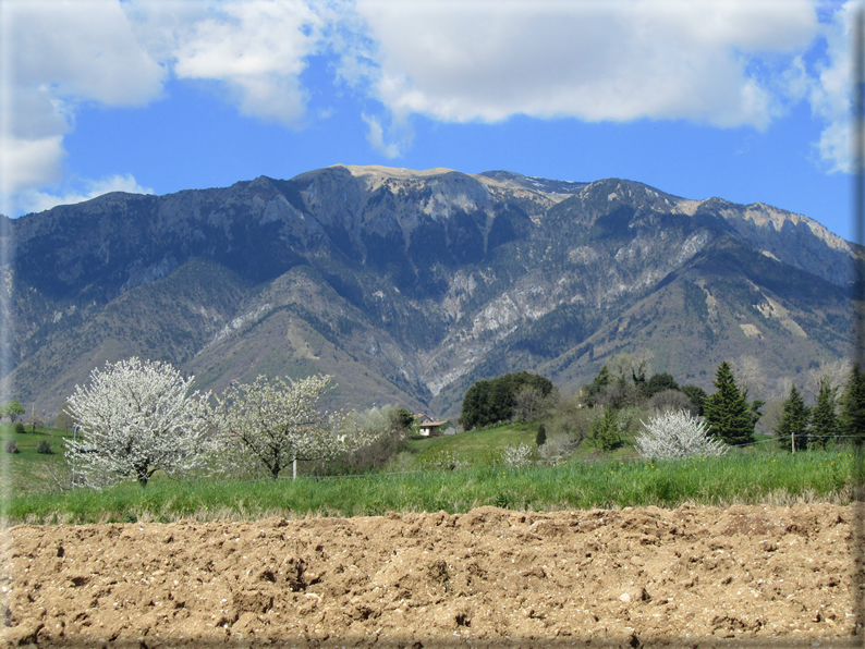 foto Paesaggi Collinari in Primavera